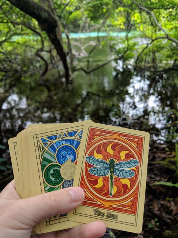 Nature Spirit Walks Tarot Package - 